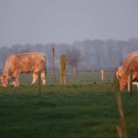 B&B Bij Bronckhorst Steenderen ภายนอก รูปภาพ