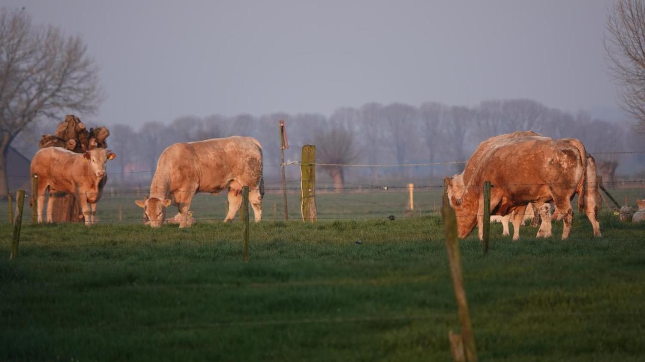 B&B Bij Bronckhorst Steenderen ภายนอก รูปภาพ